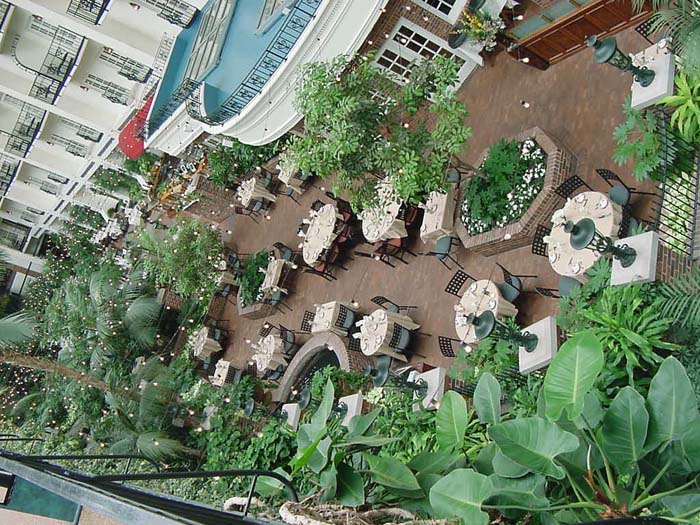 Opry_10
